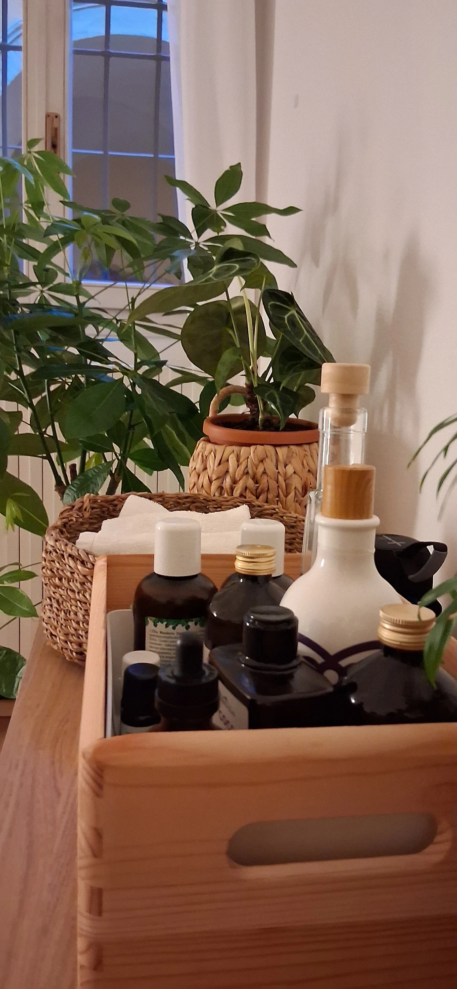 Atmosfera dello studio